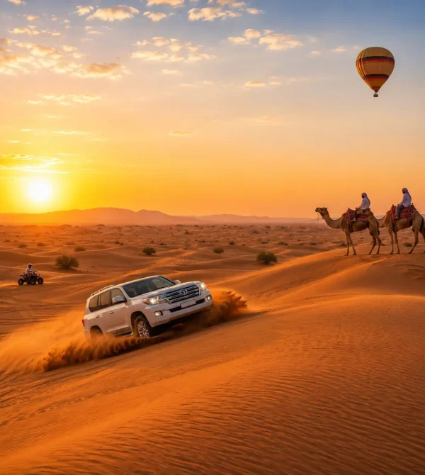 Best Morning Safari Tours Dubai