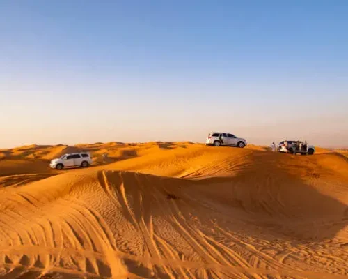 Morning Desert Safari Tour