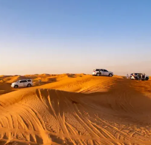 Morning Desert Safari Tour