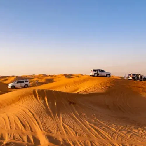 Morning Desert Safari Tour